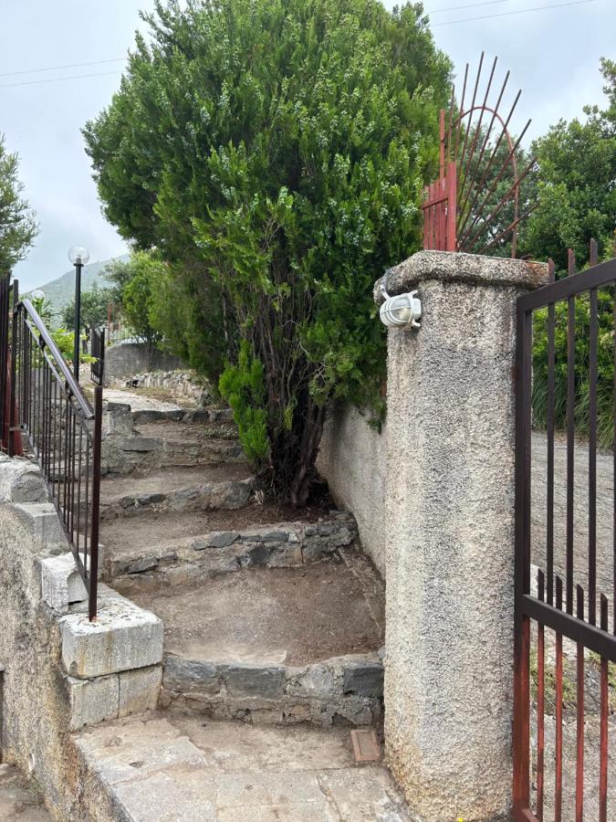 Villa Loren Praia a Mare Extérieur photo