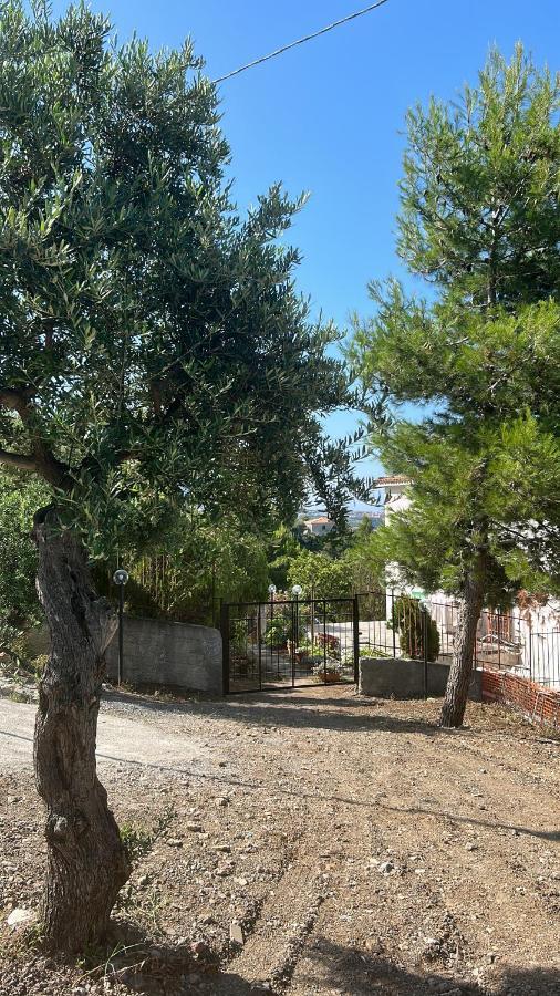 Villa Loren Praia a Mare Extérieur photo